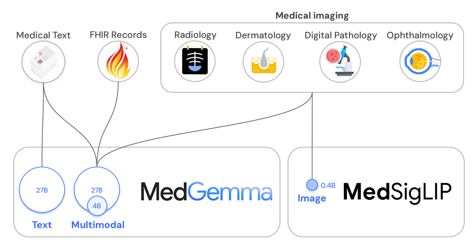 MedGemma 27B Healthcare LLM Architecture